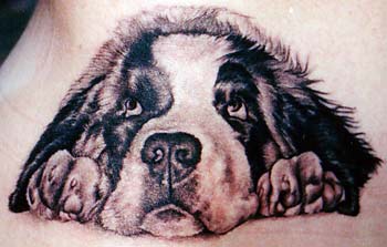 Tattoos - Shane ONeill - Dog Portrait Tattoo