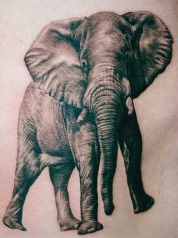Looking for unique  Tattoos? Elephant tattoo