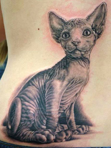 Shane ONeill - Hairless Cat Tattoo