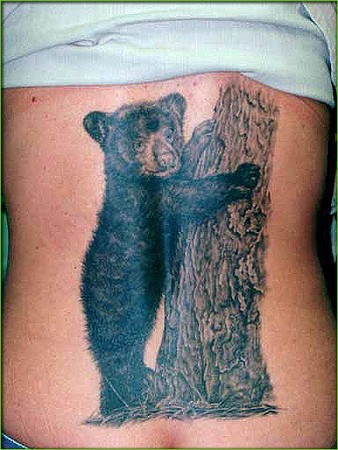 Bear Tattoos on Bear Cub Tattoo   Tattoos