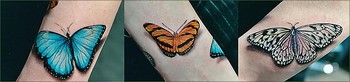 Shane ONeill - Butterfly Wrist Tattoo