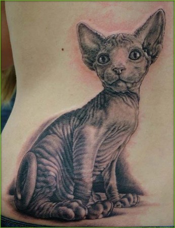 Shane ONeill - Hairless Cat Tattoo
