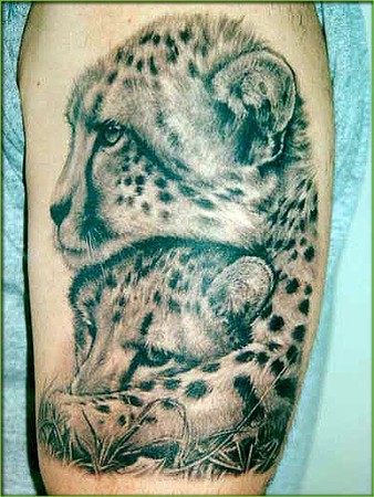 Shane ONeill - Cheetahs Tattoo