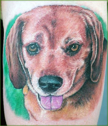 Shane ONeill - Dog Tattoo