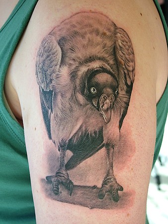 Shane ONeill - Vulture Tattoo