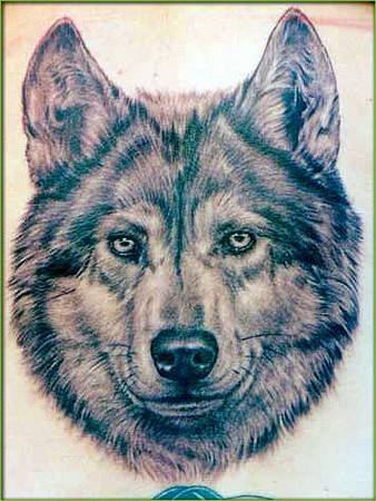 Looking for unique Shane ONeill Tattoos Dog Tattoo