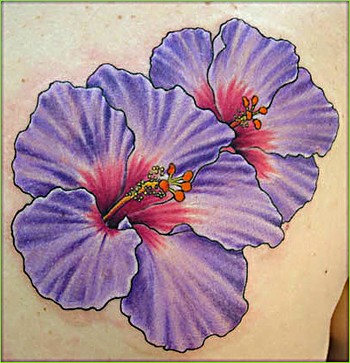 Shane ONeill - Purple Flower Tatoo