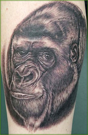 Shane ONeill - Gorrilla Tattoo