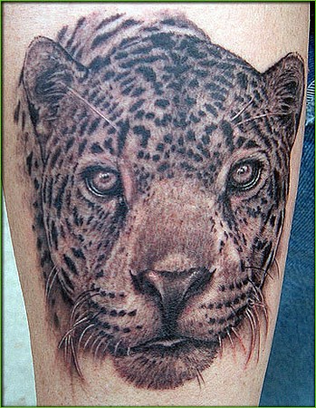 Shane ONeill - Jaguar Tattoo