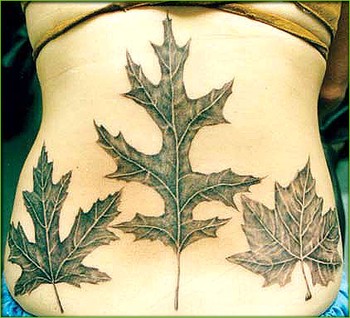 Shane ONeill - Leaves Tattoo