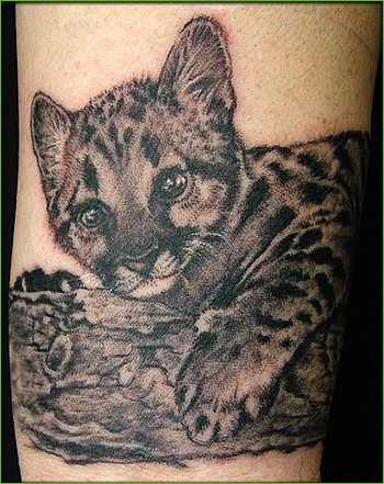 www.galleryoftattoosnow.com/StudioOneTattooHOSTED/images/gallery/medium/Ocelot_Tattoo.jpg