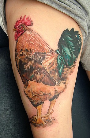 Shane ONeill - Color Rooster Tattoo
