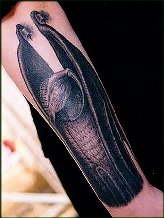 Winged Snake Tattoo