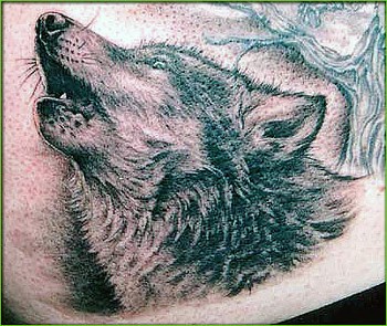 Tattoos - Shane ONeill - Wolf Tattoo