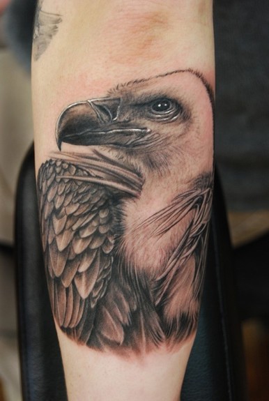 Shane ONeill - condor portrait