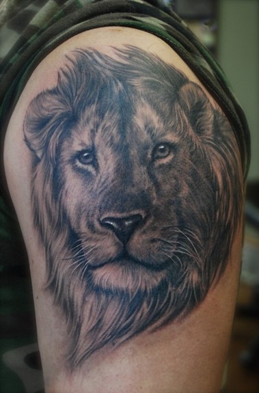 Shane ONeill - black and gray lion portrait 
