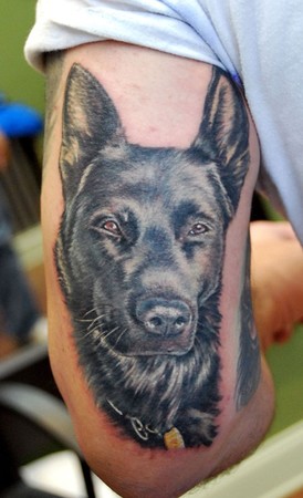 Shane ONeill - color portrait K9 police dog 