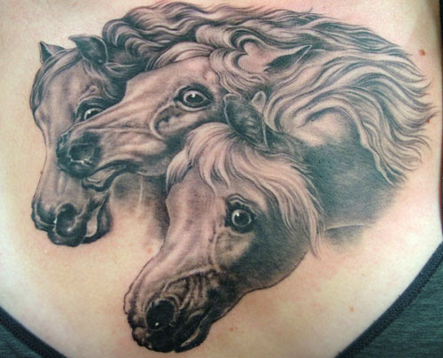 Shane ONeill - Horses tattoo