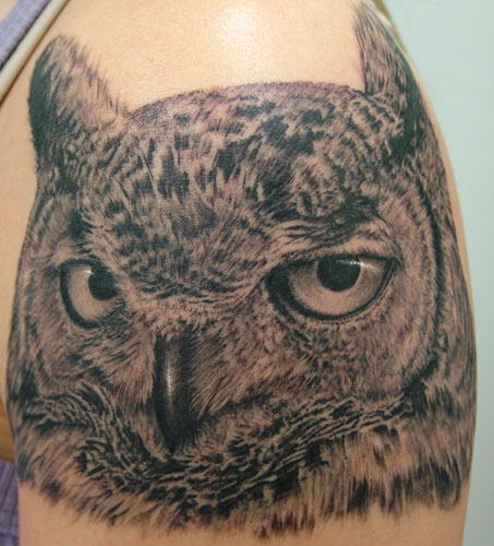 Shane ONeill - Owl Tattoo