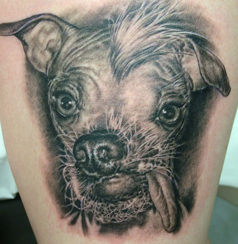 Looking for unique Animal tattoos Tattoos?  Dog Portrait Tattoo