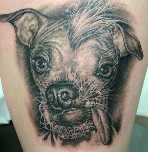Shane ONeill - Dog Portrait Tattoo