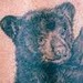Tattoos - Bear Cub Tattoo - 34708