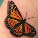 Tattoos - Butterflies Tattoo - 34775