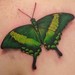 Tattoos - Green Butterfly Tattoo - 34780