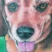 Tattoos - Dog Tattoo - 34706