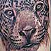 Tattoos - Jaguar Tattoo - 35379