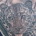 Tattoos - Jaguar in Tree Tattoo - 34711