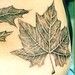 Tattoos - Leaves Tattoo - 34777