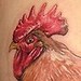 Tattoos - Color Rooster Tattoo - 34488