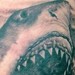 Tattoos - Shark Tattoo - 34712