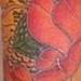 tattoos/ - Koi/Lotus sleeve - 49873