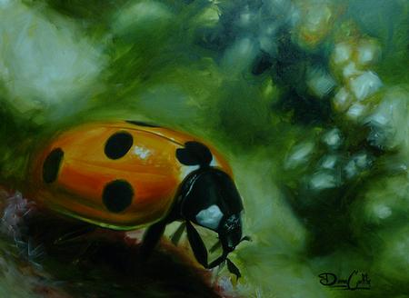 Damon Conklin - Ladybug Tattoo