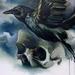 Art Galleries - Raven and Skull - 60342