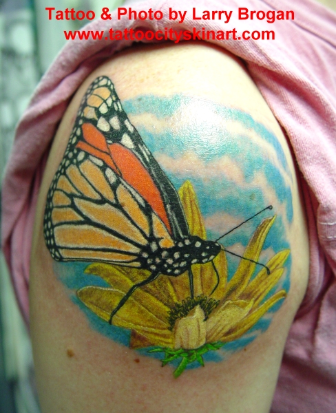 Larry Brogan - Butterfly on flower
