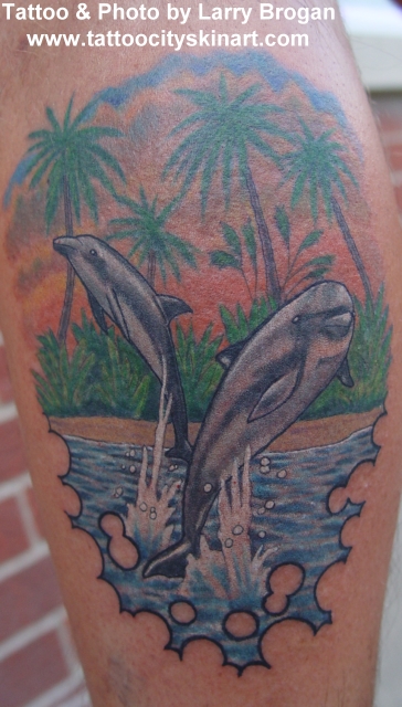 Larry Brogan - Dolphin Beach