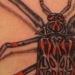 Tattoos - Big Ass Bug - 3930
