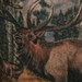 Tattoos - Elk in the Wilderness - 48159