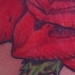 Tattoos - Wild Rose - 3873