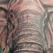 Tattoos - Charging White Elephant - 48164