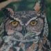 Tattoos - Great Horned Owl - 89407