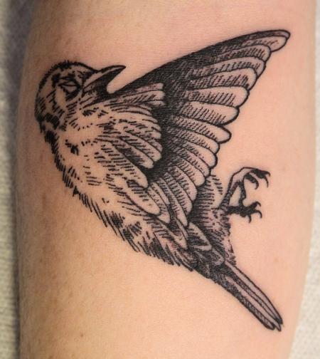 small bird tattoo. Dead Bird Tattoo