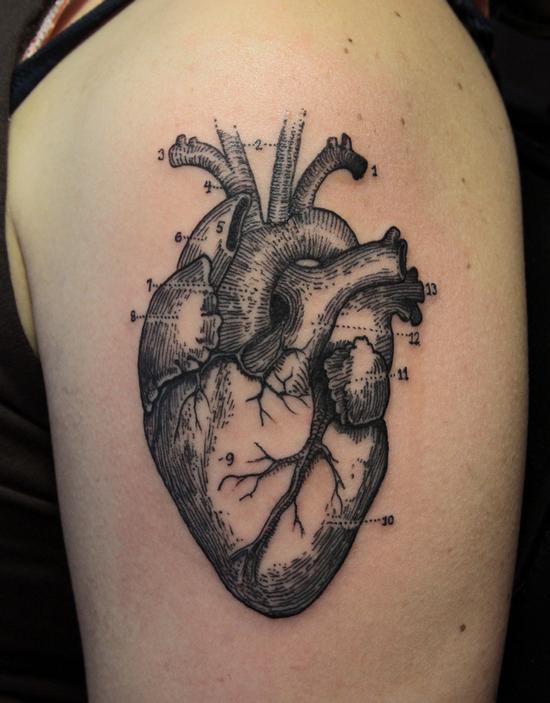 anatomical heart tattoo