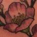 Tattoos - Cherry Blossoms - 56215