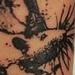 Tattoos - Animal Cruelty 1st Session - 53681