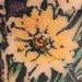 Tattoos - Flowers And Mess - 64065