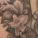 Tattoos - Garden Of Eden Tattoo - 43839